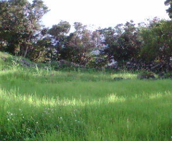 �O�X�N�����̕���