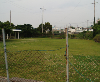 �O�X�N�������