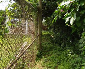 �t�F���X����