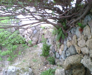 �C�݉����̐ΐς�