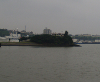 �g��