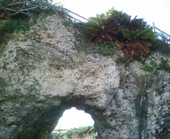 �O�X�N���������Ƃ�������
