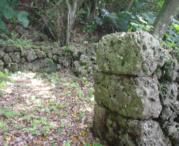 �Õ�炵������