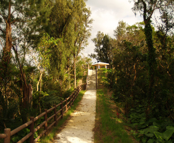 グスク最高所の四阿